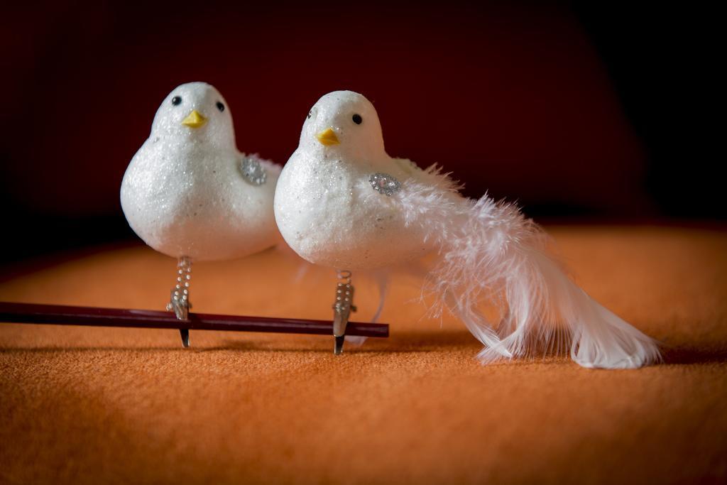 Two White Pigeons Villa อีปส์ ห้อง รูปภาพ